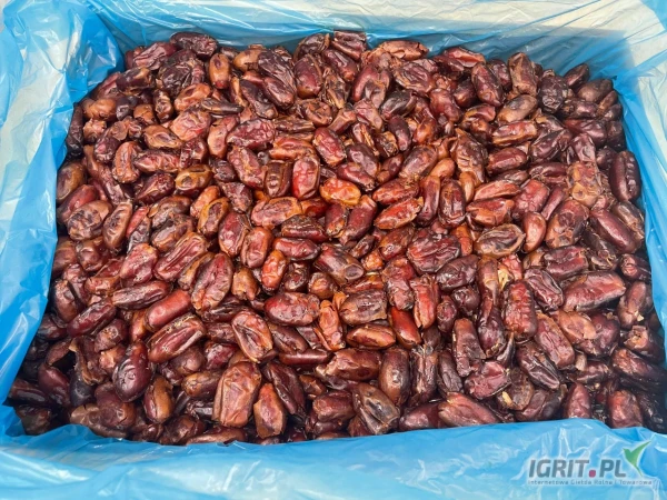 /images/posts/2025/05/2013991/yDtD34fbOyhsZYwHbiVJIxX6yTrDU3G22TF4cSML.jpeg