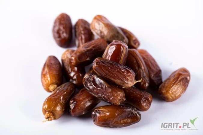 /images/posts/2025/05/2013991/OQ1bdtj8c0Z2XKXRjoTDqzp2CllAawan9l4zMGfU.jpeg