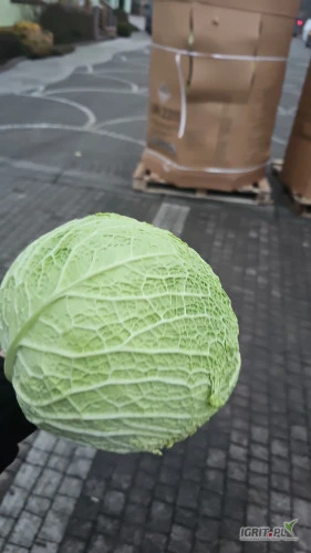 /images/posts/2025/01/1963596/rjsjiZCRHRUiCaVK1fcHLGe1E37PG99mccbMfYo7.jpeg