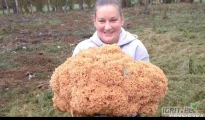 Kozia broda suszona 3 kg 