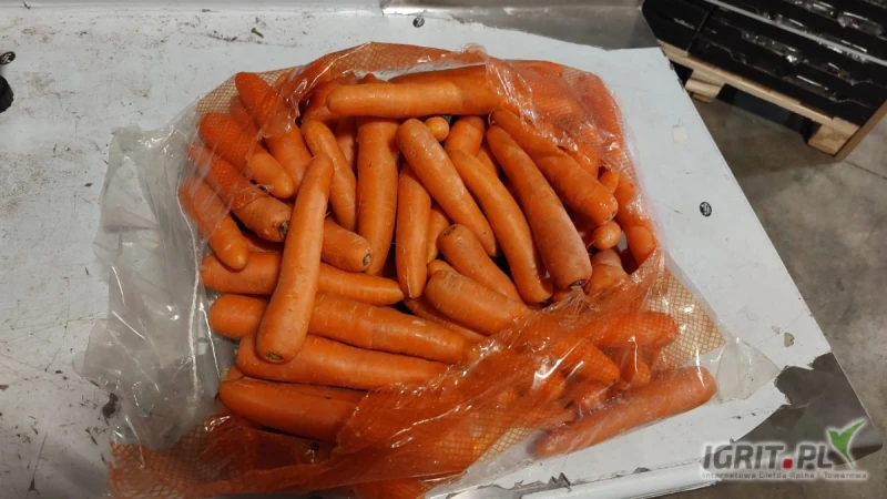 /images/posts/2025/04/2003639/RYfLAxvscy90qJZnFUPGFSNJiBSDDDaKr1QLtucy.jpeg