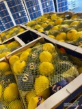 Cytryna 10 kg Verna oraz Primofiori Hiszpania -świeża dostawa
