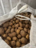 Queen Anna , Mia ,50+ ,dostepne 9 ton , pakowane big-Bag.
