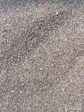 Sprzedam suszoną pestkę czarnej porzeczki 