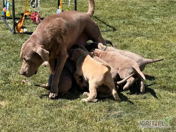 /images/posts/2025/05/2014092/T3eUOV2QohOuKUEe1eQpn4ceGX0iE8lphzAjUv3f.jpeg