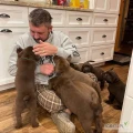 Poznaj swojego nowego najlepszego przyjaciela! Nasze szczeniaki labradora retrievera są czułe, wesołe i niesamowicie inteligentne....