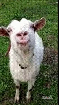 /images/posts/2025/04/2003869/wNbUdA3Z3SWZD7YIPTgXa0Yhjx8ILiD7JbunucUn.jpeg