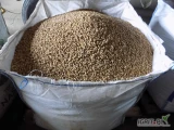 Sprzedam nasiona bobiku, około 5 ton, materiał wyczyszczony, 1300 zł/tona, Łysomice koło Torunia, tel. 664753642
