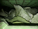 Sprzedam kapustę włoską od 0.7-2kg oraz poniżej 0.7kg. Towar w lisciu ochronym.