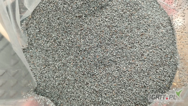 /images/posts/2025/04/2004104/88WJRcOsOHnQHX63k0pZSEwZXgRerX6bAAVMa018.jpeg