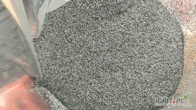 /images/posts/2025/04/2004104/yV07db9wABeaJaOa1cl07LFIRerXJdM0IeSWAEfZ.jpeg