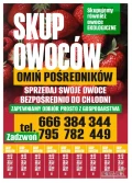 Grupa SAJEWSKI NAWIĄŻE WSPÓŁPRACE Z DUŻYMI PRODUCENTAMI AGRESTU PRZEZNACZONEJ DO MROŻENIA I TŁOCZENIA   GWARACJA NAJWYZESZ...