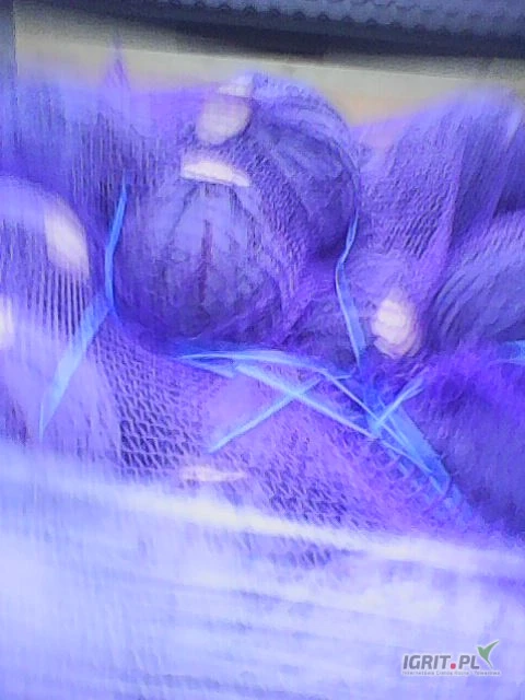 /images/posts/2025/03/1990784/Qy4cLI2KiBJYeqDixeJZY9Cj8OA0Y8wK7tQ7Mt8B.jpeg