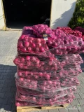 Sprzedam cebulę czerwoną 6+. W workach , na obieranie. Dostępne 6 ton