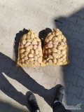 Sprzedam ziemniaki jadalne tajfun 250 Soraja 150 worków. 