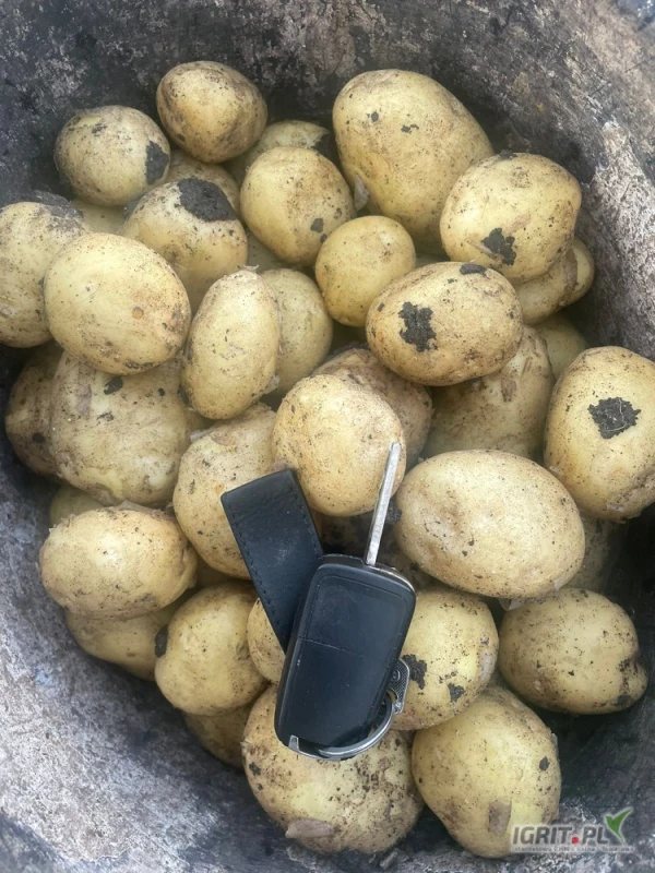 /images/posts/2025/05/2014815/lzKCuG5G0CqCMsTUMyyPpAkuF4YAWoEQih8Z6RuA.jpeg