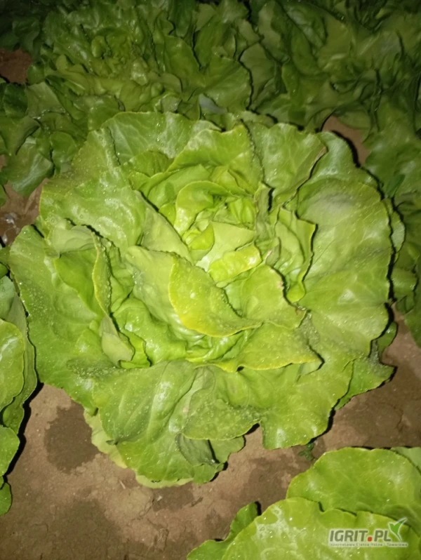 /images/posts/2025/05/2014942/EdBXXEaT8G9nG4wHDjsPUJmYXShC6SFaleLdslEw.jpeg