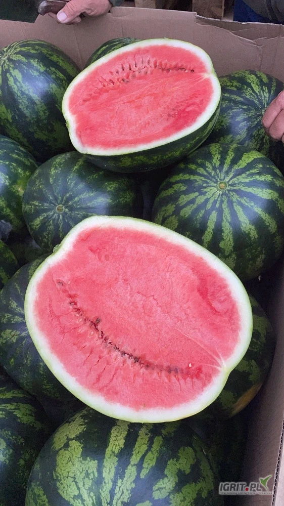 /images/posts/2025/05/2015094/6VoGnAhITHaPVLcy7FNyVfcZu9iKi02KovmEKjdT.jpeg