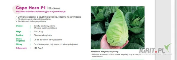 /images/posts/2025/01/1961417/J9kFA6BXjPeQ0nSHkHBLBQOnynbNxubezYDe7DOg.jpeg