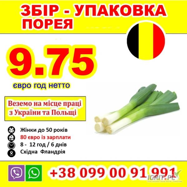 /images/posts/2025/04/2004438/ThJVtxQGVQ1ogZYDqWU96XUSwBnMKFrUNw1rWFtk.jpeg