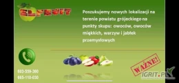 ELFRUIT  ZAPRASZA DO WSPÓŁPRACY  !