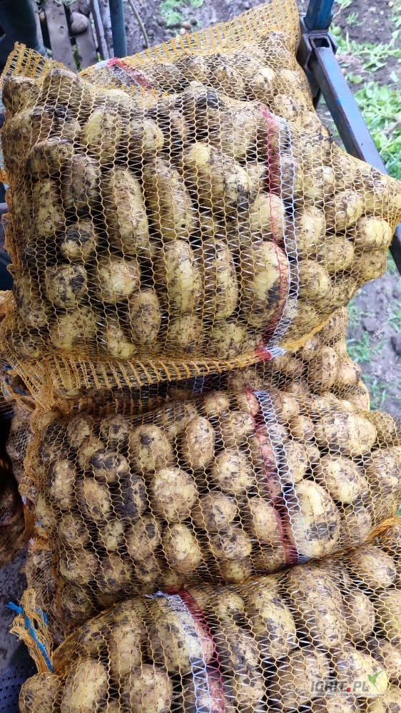 /images/posts/2025/05/2015535/j7voyX40Mg23KLs10f0BiBtM7jRTWEl7I0KZY1gX.jpeg