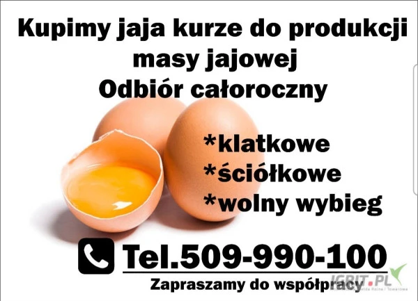 /images/posts/2025/02/1979782/gbMVK45lkgjRhQX0d6JeK0nqZCZ9YZixHagWlm5z.jpeg