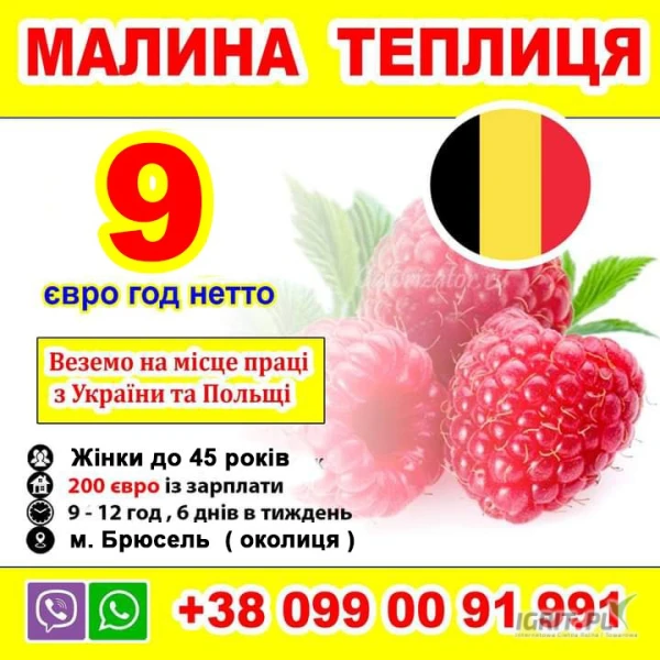 /images/posts/2025/03/1993232/zt1p6y6AtudLrHeJF6MzK7q3sdm1cDfU2JI42IZf.jpeg