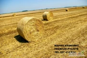 WAPNO WĘGLANOW0-MAGNEZOWE RADKOWIT PREMIUM PYLISTE
