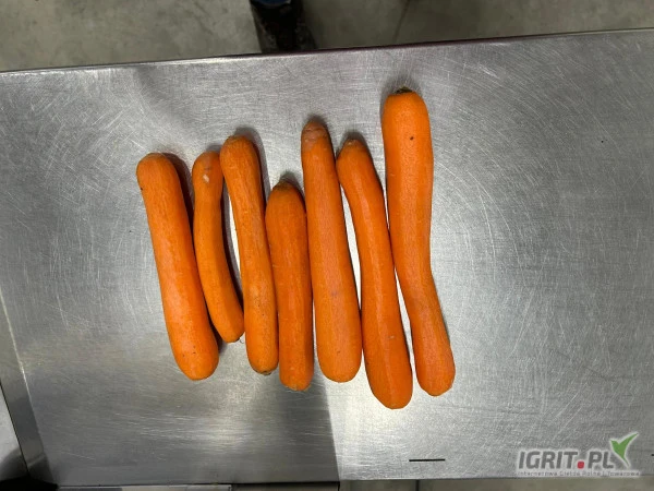 /images/posts/2025/01/1965042/qb5YkXk3JQJpPsEIjLb9UD7bsjkzflgQ41PClXyS.jpeg