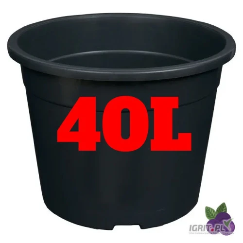 /images/posts/2025/02/1980199/DljZ00qaKYgAxG4GsZBFaUDnv2r8GLmzEJon9igU.jpeg
