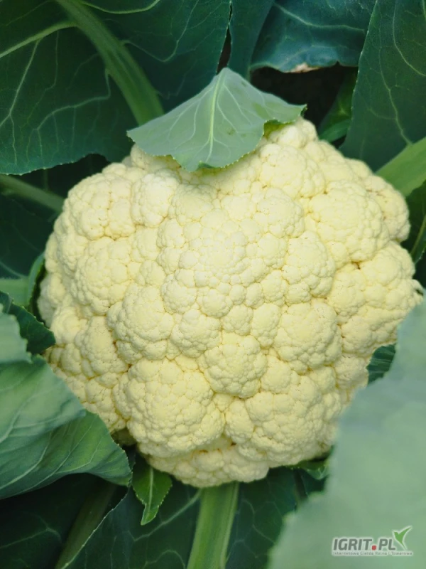 /images/posts/2025/05/2015805/kY1u7eE9Gyo72mYrXolndfBo5e3uefBGBkRWlKiL.jpeg