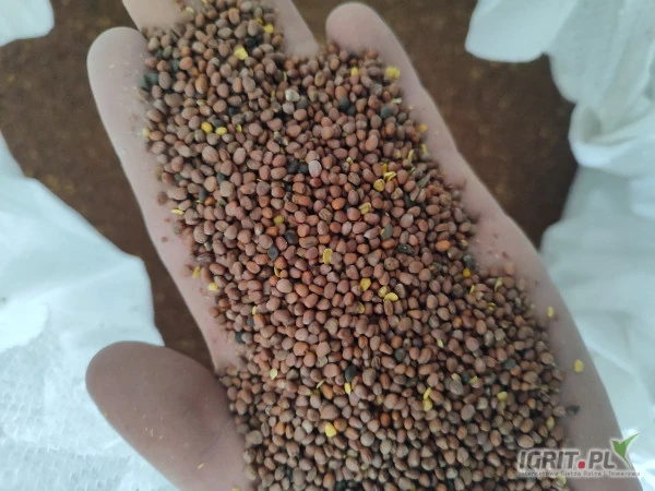 /images/posts/2025/02/1979249/D1GQ8Jw8arO8iFjL22VcgJx5y4JuWKG62vqL9FLm.jpeg