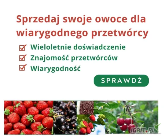/images/posts/2025/05/2015964/b4GRlwpHO2KeOSV0WP2OEi1AZ3vcrC21ZfJJPQvA.jpeg