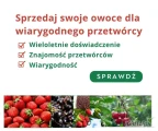 Sprzedawaj swoje owoce do wiarygodnych przetwórni !