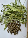 dodatki paszowa ziola rumianek oregano melisa mięta babka płesznik i inne w postaci granulau pudru fiksu sieczki ilości hurtowe