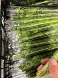 Witam sprzedam gotowe zwijki marketowe 25g robione pod klienta atrakcyjną cena 50gr za zwijke około 4500 szt 
