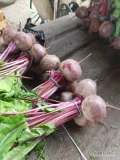 Witam . Sprzedam botwinkę,  szykowana pod zamówienie. 