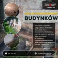 Masz wilgoć w piwnicy? Zadzwoń, zanim problem się pogłębi!
