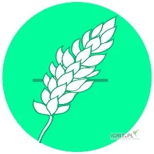 /images/posts/2025/04/2004757/yfHRDPOhI64jMSrILxFg7uYG3wuxw1Qcn4z1UyQm.jpeg