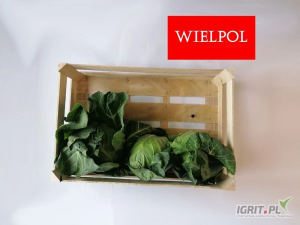 /images/posts/2025/05/2016156/UFwlWo0ffplgVSET7IveW2UJRIsnUJkFkiRSE03y.jpeg