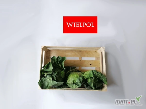 /images/posts/2025/05/2016156/4pDqriGQSZl1iCWoxQvEPSWlxztah5OcNCe7w76l.jpeg