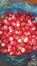 Sprzedam rzodkiewkę ciętą czerwoną 