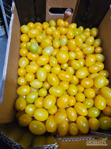 /images/posts/2025/01/1967288/VJYsXJkR3yfCnUPPqPIWO9BJGo8KvtFX68p8ayDJ.jpeg