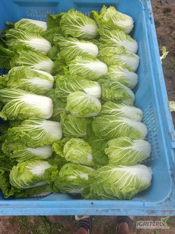 /images/posts/2025/04/2004960/GnPLG3ehnyuBTxDy4tHP78iieIw7amUKVXo8gsgW.jpeg