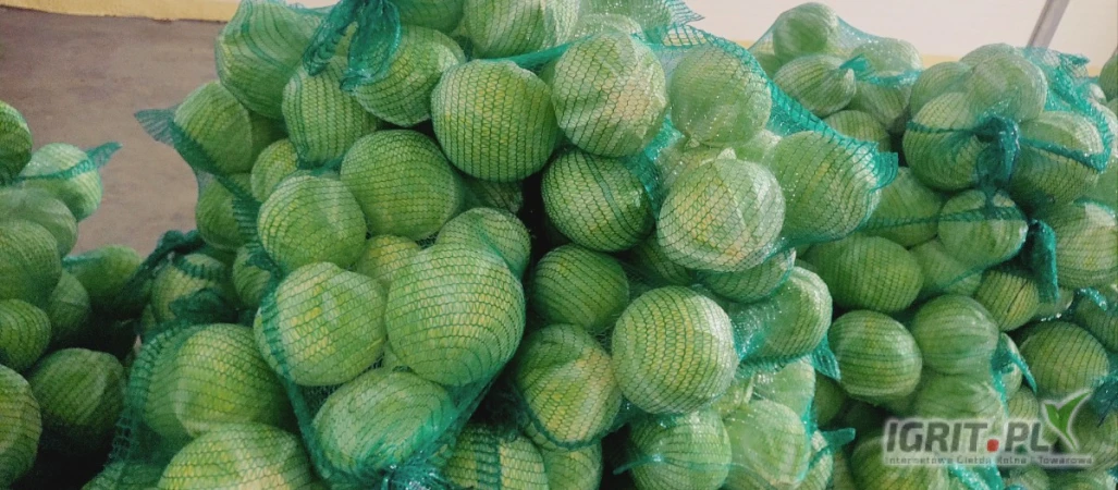 /images/posts/2025/05/2016539/hfacqVkeQoQMnXzr95I8KM9fRYwT4LzDoog8Wbhy.jpeg