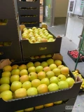 Kupię Golden 65+ (przełamany z czerwonym policzkiem) w czarny karton 13 kg netto, na gotowo. 