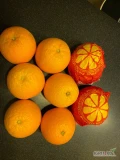 Pomarańcza Import EGIPT 
