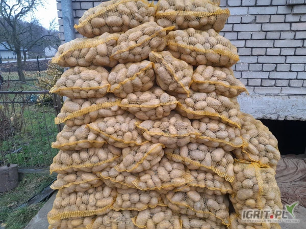 /images/posts/2025/01/1965087/S3GZIovRTseO16kU4fIDEgPZvn5o1bPJL5gdqNJi.jpeg
