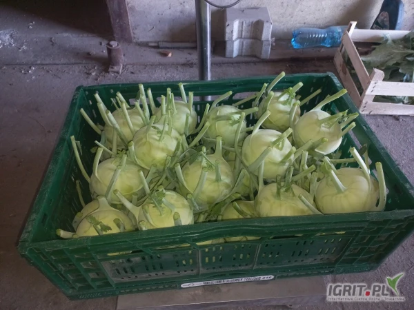 /images/posts/2025/06/2016764/Xjy7AIBJ7kjmvOMekLUUFlM6C4zwEO79fWJUAoDx.jpeg
